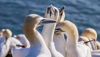 开云电竞登录-赛制变革解析：新规则对比赛策略的影响，比赛规则解读